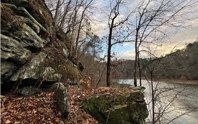 Additional View