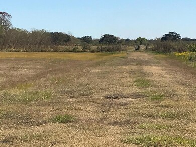 Horses in Rear of Property