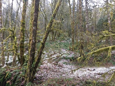 0 Beaver Creek Rd, Sheridan, OR 97378 - photo 3