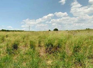 0 Davis Brothers Rd, Frostproof, FL 33843 - photo 2