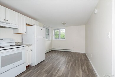 80 W Dorsey Ln unit C, Hyde Park, NY 12538 - photo 4