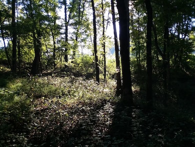 2812 Union Hill Rd, Joelton, TN 37080 - photo 7