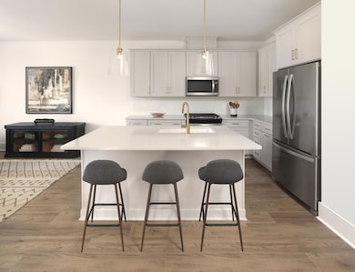 Palmetto kitchen sample pic