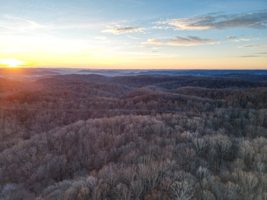 5010 Chinkapin Ln, Franklin, TN 37069 - photo 3