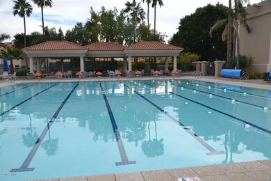 OLYMPIC POOL