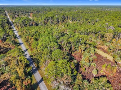 810 Paradise Blvd, Georgetown Cove, FL 32139 - photo 4