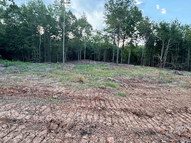 0 Arvada Dr unit 24059220, Northport, AL 35473 - photo 3