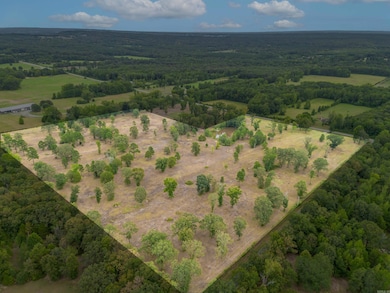 Lot 6 Highway 287, Greenbrier, AR 72058 - photo 6