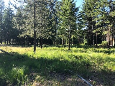 LOT 1 Hogans Way, Chewelah, WA 99109 - photo 4