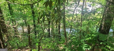 0 Ber Weg unit 10605993, Helen, GA 30545 - photo 4