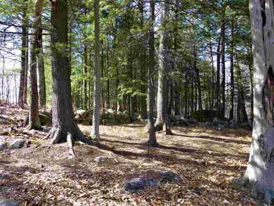 80 Knox Mountain Rd, Ossipee, NH 03814 - photo 5