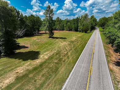 0 Coaling Rd unit 24403018, Sylacauga, AL 35151 - photo 2