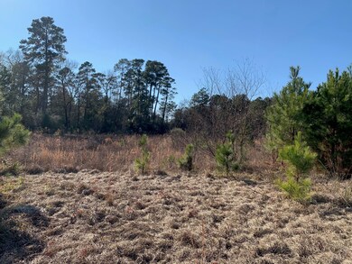 33169 Wedgewood Dr, Magnolia, TX 77354 - photo 2