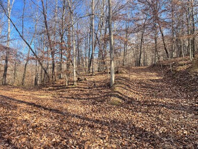 14645 Morehead Rd, Wallingford, KY 41093 - photo 7