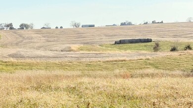 0 NE Heimbaugh Rd, Pattonsburg, MO 64657 - photo 6