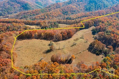 671 Island Hollow Rd, Hot Springs, NC 28743 - photo 2