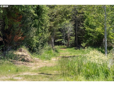 283 N Main St, Coos Bay, OR 97420 - photo 7