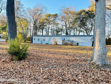 125 Old Railroad Trail, Pollocksville, NC 28573 - photo 4