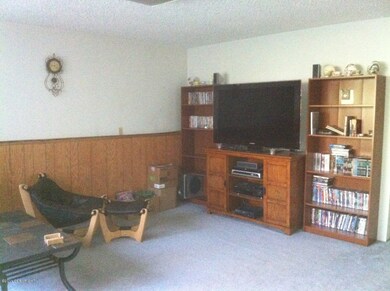 Downstairs Rec. Room