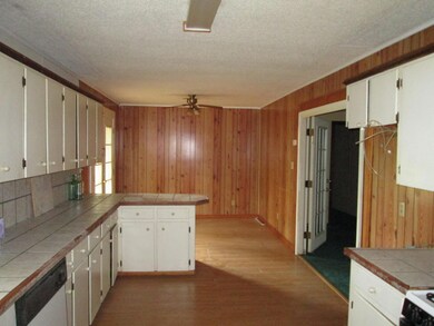 Kitchen View 2