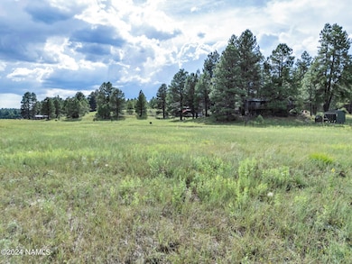 5256 Stonehouse Dr unit 12, Flagstaff, AZ 86001 - photo 6