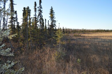 4082 Pond Lily Ln, Wasilla, AK 99654 - photo 4