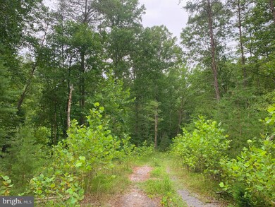 0 Shockeysville Rd unit VAFV2014768, Winchester, VA 22603 - photo 5