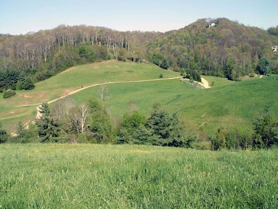 0 Tbd Beechwood Rd unit 25, Clyde, NC 28721 - photo 3