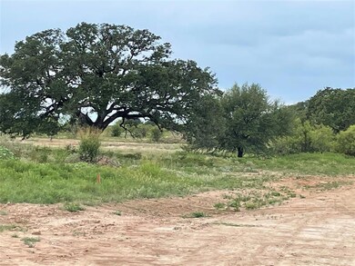 101 Tobiano Trace, Brock, TX 76087 - photo 6