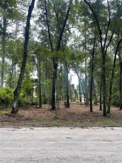 7 Chickat Trail, Crawfordville, FL 32327 - photo 2