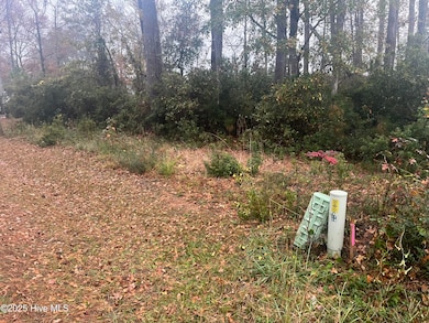 1170 Wilson Ave SW, Calabash, NC 28467 - photo 2