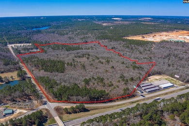 442 Savany Hunt Creek Rd, Gaston, SC 29053 - photo 3