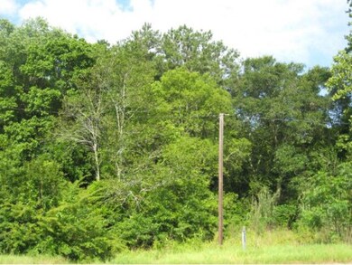 Lot 3F B Old Tyler Rd, Nacogdoches, TX 75961 - photo 2