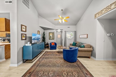 780 Waterfall Ln, Durango, CO 81301 - photo 6