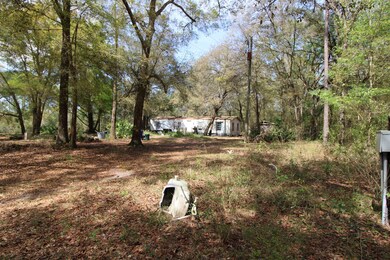 5360 County Road 208, Saint Augustine, FL 32092 - photo 7