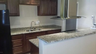 Granite breakfast bar and hood