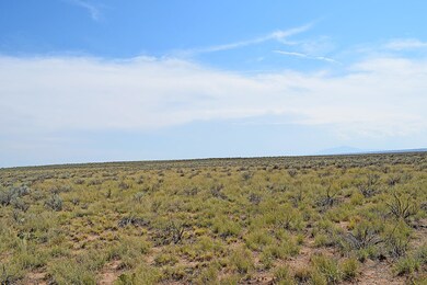 Lot 10 Rio Del Oro Loop unit 53, Los Lunas, NM 87031 - photo 4