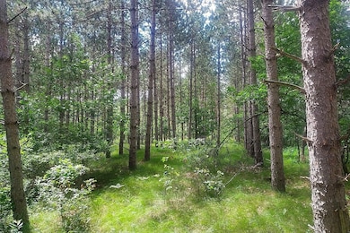 9th Avenue, New Lisbon, WI 54646 - photo 5