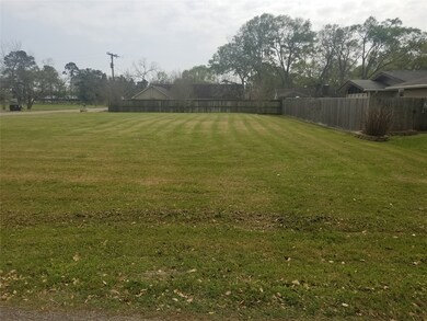 0 Hood and Blackstone unit 96555396, Alvin, TX 77511 - photo 3