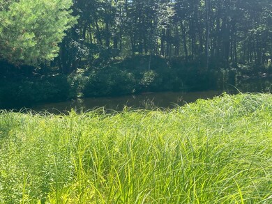 Kyle Lane Pond 2