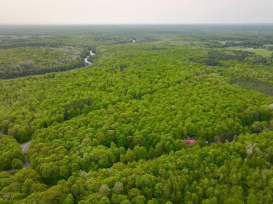 0 Buettner Rd unit 214627, White Lake, WI 54491 - photo 3