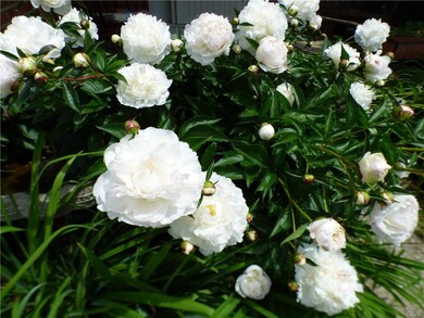 1279 Butternut Ln, Macungie, PA 18062 - photo 4