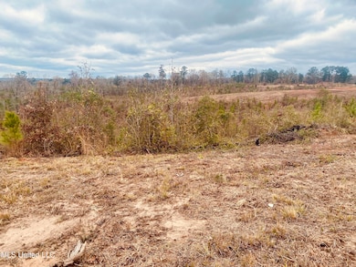 0 Saint Anne Rd, Carthage, MS 39051 - photo 7