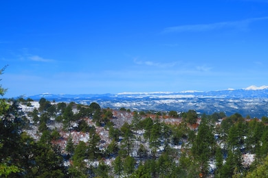 655 Mora Ln unit 79, Trinidad, CO 81082 - photo 5