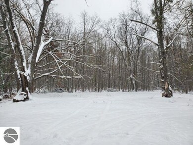 0 Clear Lake Rd unit 1930102, West Branch, MI 48661 - photo 5
