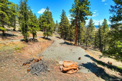 3888 Middle Fork Vista, Fairplay, CO 80440 - photo 7