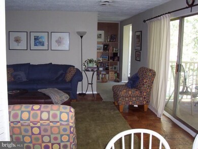 5703 Indian Ct unit 16, Alexandria, VA 22303 - photo 4