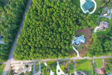 Lot 1-A Brace Dr, Pawleys Island, SC 29585 - photo 5