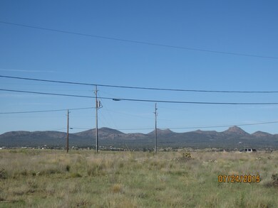 425 W Bermuda Ln, Paulden, AZ 86334 - photo 6