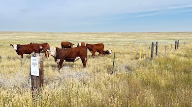 3785 Rd 222, Cheyenne, WY 82009 - photo 2